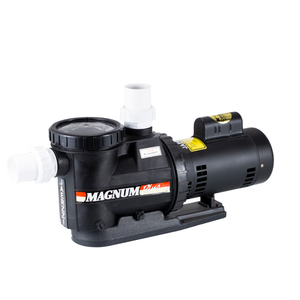 Alto Performance1.0HP 1.5HP 2.0HP 3.0HP Piscina Spa Bomba de agua