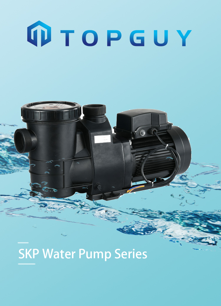 Filtro de la piscina 